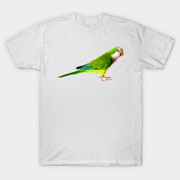 Green Parakeet T-Shirt by NerdsbyLeo